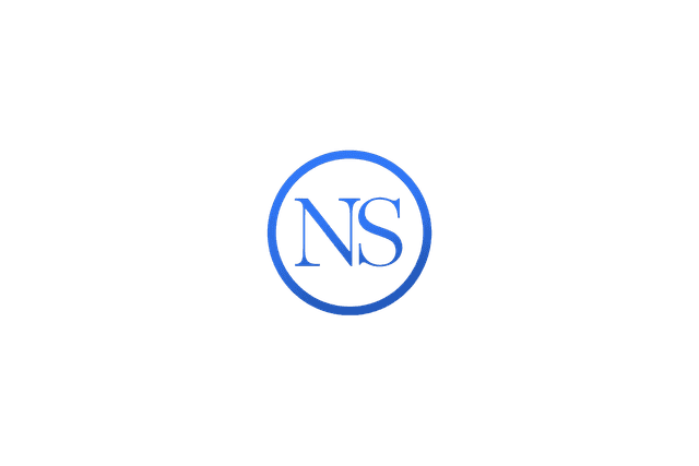 Noah Scott Logo
